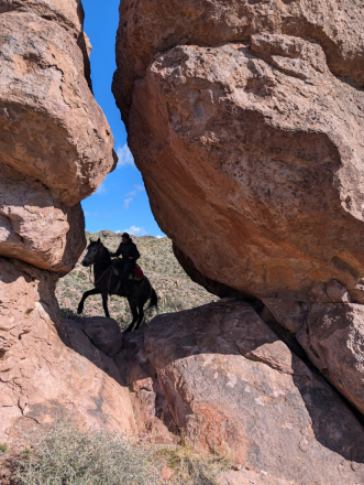 HorseID: 2309081 Maggie - PhotoID: 1093861