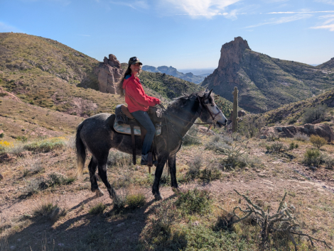 HorseID: 2309081 Maggie - PhotoID: 1093862