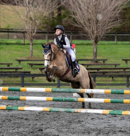 HorseID: 2309096 Into The Blue - PhotoID: 1093439