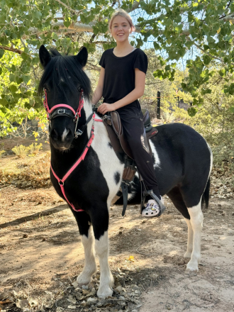 HorseID: 2309101 Doppulina frá Leirulak - PhotoID: 1093440