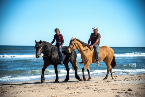 HorseID: 2309133 Talk to me goose - PhotoID: 1093460