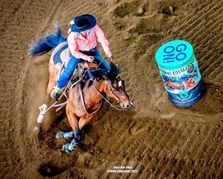 HorseID: 2309172 Guys Shot Caller - PhotoID: 1093493