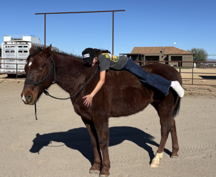 HorseID: 2309185 Knee Deep in Dinero - PhotoID: 1093849