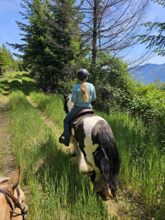 HorseID: 2309204 Moonlit Beatrice - PhotoID: 1093527