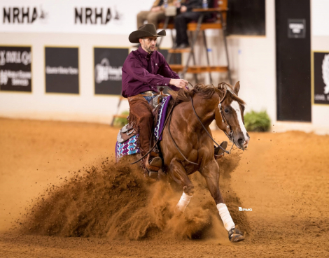 HorseID: 2309217 Electrified Yankee - PhotoID: 1093543