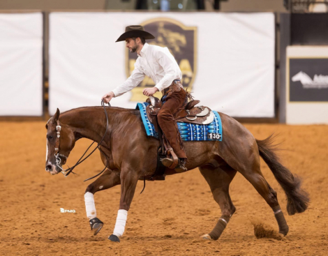 HorseID: 2309217 Electrified Yankee - PhotoID: 1093548