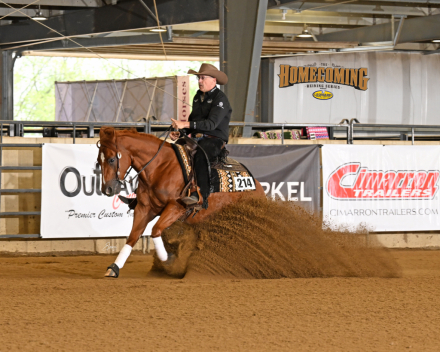 HorseID: 2309219 HOLLYWOOD RECODED - PhotoID: 1093540