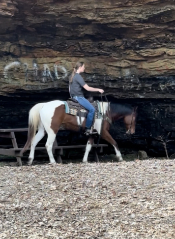 HorseID: 2309254 Easy Jets Bar Money - PhotoID: 1093583