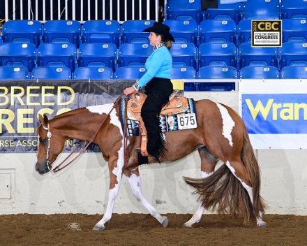 HorseID: 2309261 RosesForTheInvestor - PhotoID: 1093587