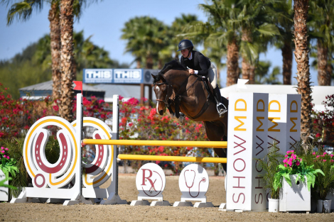 HorseID: 2309278 Flinton - PhotoID: 1093816