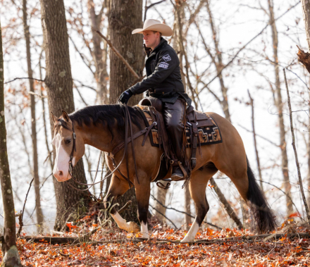 HorseID: 2309279 PALE FACE SHINE - PhotoID: 1093604