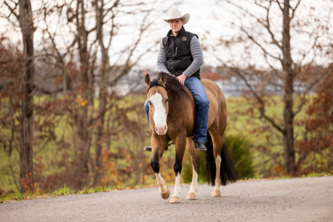 HorseID: 2309279 PALE FACE SHINE - PhotoID: 1093605