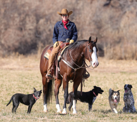 HorseID: 2309280 DONT SKIP IRISH - PhotoID: 1093609