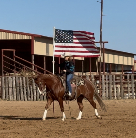 HorseID: 2309287 PALE FACE GANGSTER - PhotoID: 1093619