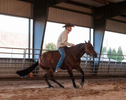 HorseID: 2309291 REST ASSURED - PhotoID: 1093624