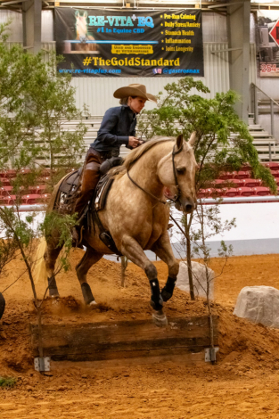 HorseID: 2309296 HEZA HIGH TIME CAT - PhotoID: 1093637