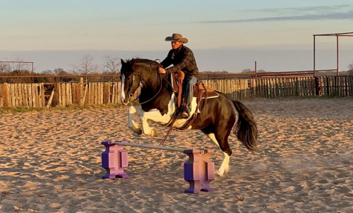 HorseID: 2309299 HEARTLAND PONCHO - PhotoID: 1093650