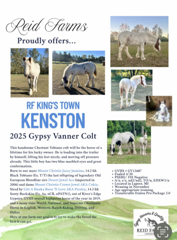 HorseID: 2309300 RF King's Town Kenston - PhotoID: 1093652