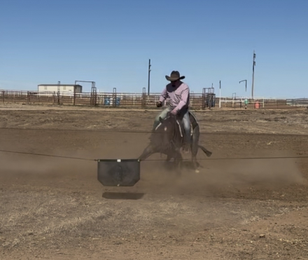 HorseID: 2309322 ADRENALINE WRUSH - PhotoID: 1093683