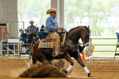 HorseID: 2309324 MIGHTY BAMBINO - PhotoID: 1093691