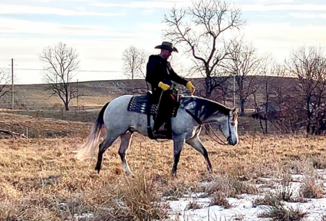 HorseID: 2309325 KING OF IMAGINATION - PhotoID: 1093695