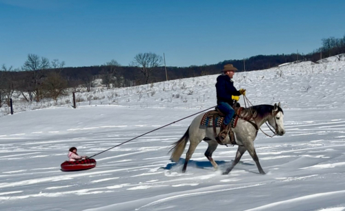 HorseID: 2309325 KING OF IMAGINATION - PhotoID: 1093696