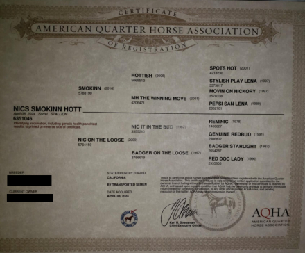 HorseID: 2309328 NICS SMOKINN HOTT - PhotoID: 1093737