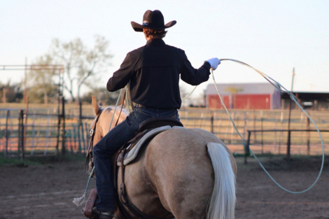 HorseID: 2309330 SSSMOOTHSPORT - PhotoID: 1093709