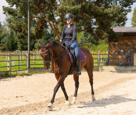 HorseID: 2309332 Hot APriority - PhotoID: 1093721