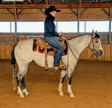 HorseID: 2309341 AR Little Livia - PhotoID: 1093746