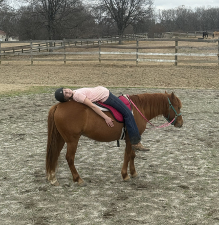 HorseID: 2309342 Peanut Butter - PhotoID: 1093748