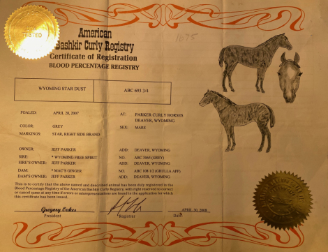 HorseID: 2309346 Star Dust - PhotoID: 1093753