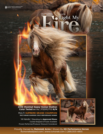 HorseID: 2309364 SSFR Light My Fire - PhotoID: 1093754