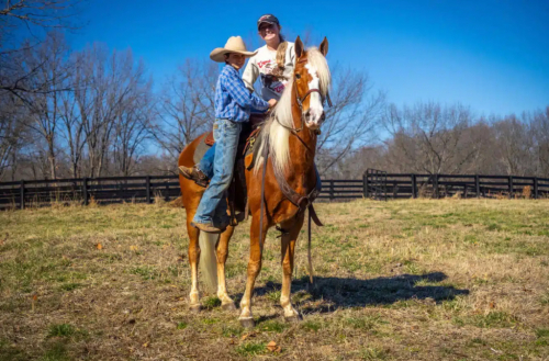 HorseID: 2309412 The Rowdy Lineman - PhotoID: 1093792