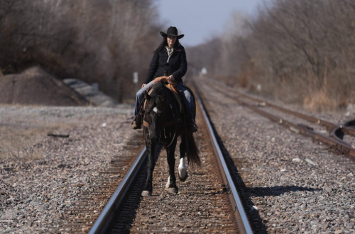 HorseID: 2309421 Pearl - PhotoID: 1093807