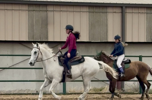 HorseID: 2309424 Ghost - PhotoID: 1093815