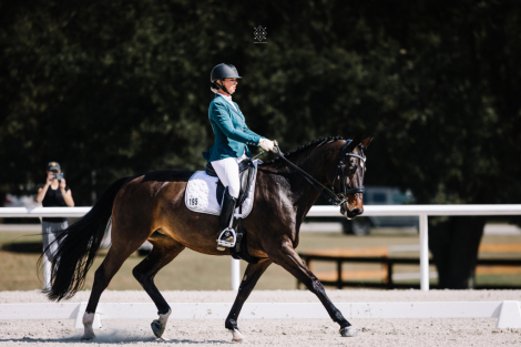 HorseID: 2309427 Daire - PhotoID: 1093821