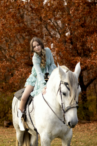 HorseID: 2309454 SW ZAFIRA - PhotoID: 1093903