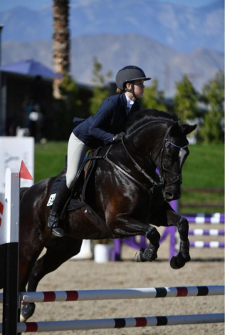 HorseID: 2309474 Knight On Fire - PhotoID: 1093867