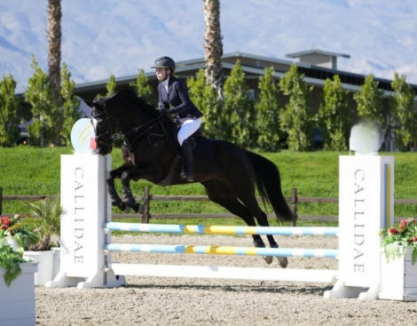 HorseID: 2309474 Knight On Fire - PhotoID: 1093868