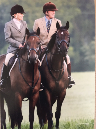 HorseID: 2309489 Stormy - PhotoID: 1093884