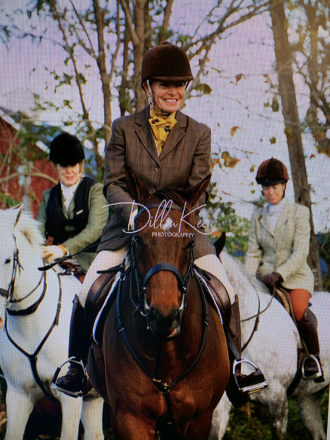 HorseID: 2309489 Stormy - PhotoID: 1093887