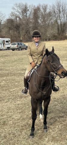 HorseID: 2309490 Gavotte - PhotoID: 1093888