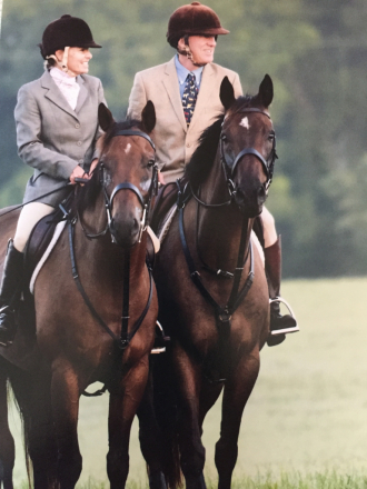 HorseID: 2309491 Ranger - PhotoID: 1093893