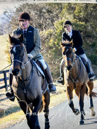 HorseID: 2309491 Ranger - PhotoID: 1093895