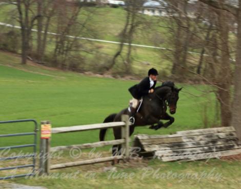 HorseID: 2309492 Indian Hawk - PhotoID: 1093896