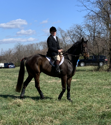 HorseID: 2309492 Indian Hawk - PhotoID: 1093898