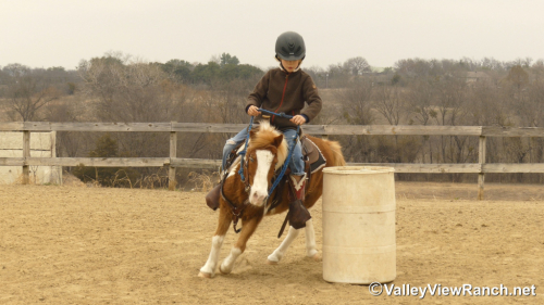 HorseID: 2309496 Pickles - PhotoID: 1093906