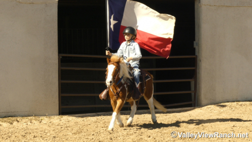 HorseID: 2309496 Pickles - PhotoID: 1093907