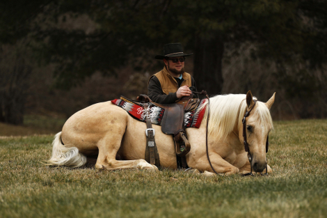 HorseID: 2309502 Yellow Guacamole - PhotoID: 1093945